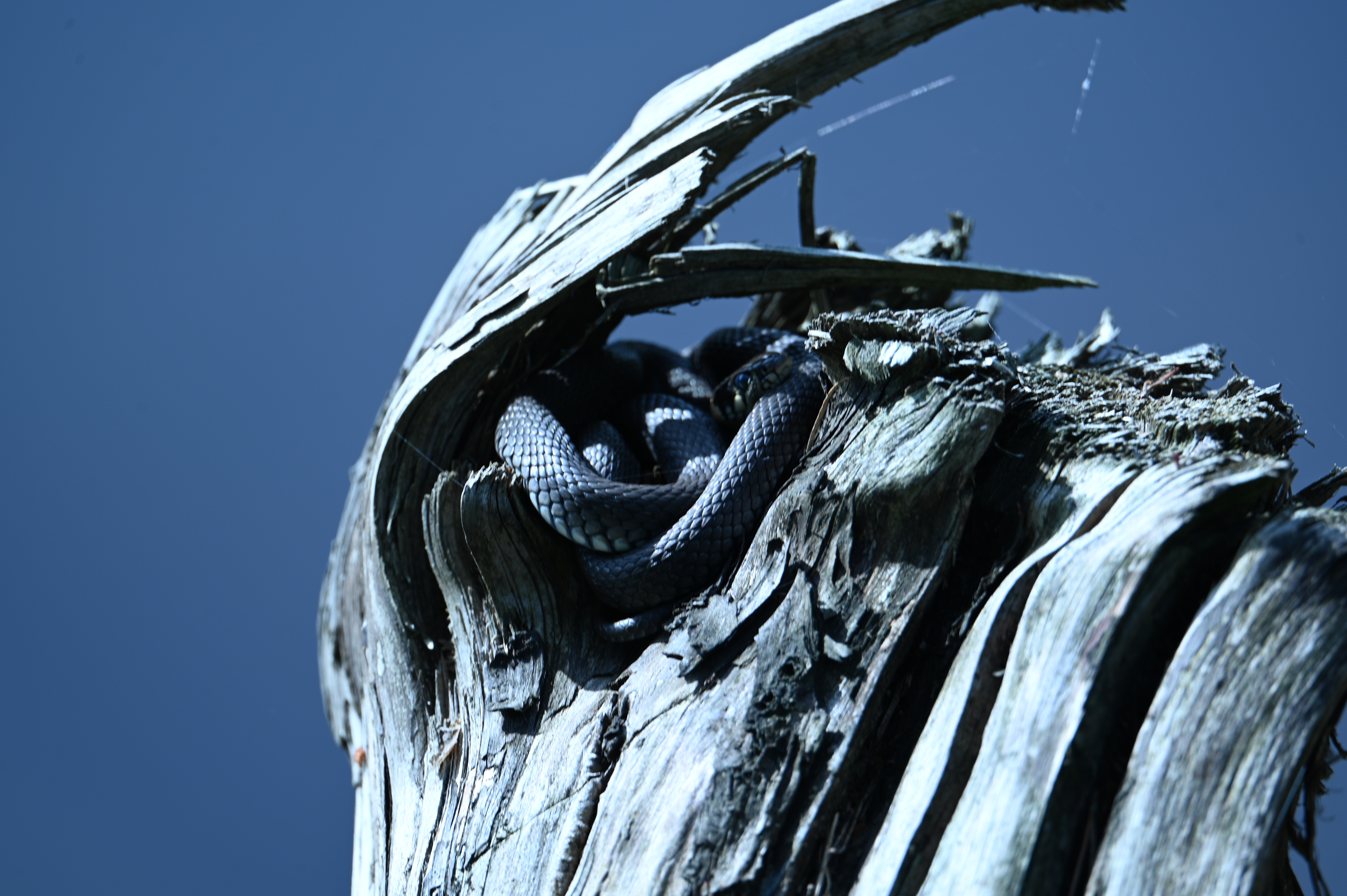 2025/07/09-14 - trip/DSC_0494.JPG